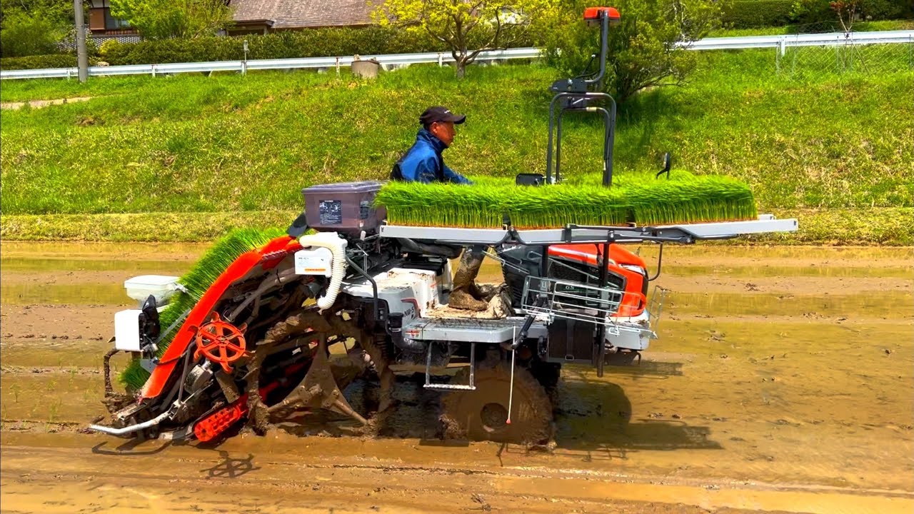 Kubota】『NW8S GS 』Agriculture 8条植え 田植え機 早すぎる 田植え