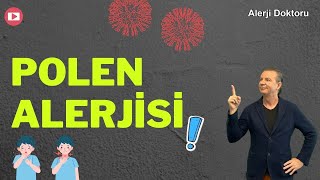 What is Pollen Allergy?  Prof. Dr. Ahmet Akcay