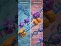 🧬 Prokaryotic vs Eukaryotic DNA Replication | Key Differences Explained 🔥