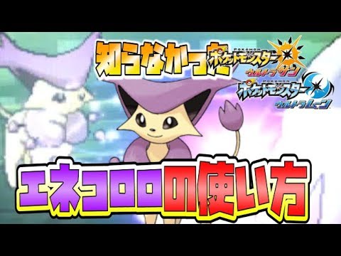 Usum エネコのおぼえる技 入手方法など攻略情報まとめ ポケモンウルトラサンムーン 攻略大百科