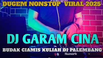 DJ GARAM CINA FULL SONG || BUDAK CIAMIS | BELI BODREXIN | BERONDOL SAWIT VIRAL TIKTOK 2025