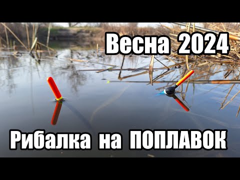 видео: Рибалка на ПОПЛАВОК в перші теплі дні весни. Відкриття сезону 2024. Дністер Маяки