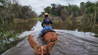 ATRAVESSAMOS UM RIACHO MONTADOS PARA OLHAR NOSSO GADO, TRAVESSIA PERIGOSA