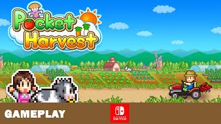 Pocket Harvest [Switch] Erste Felder auf der Sunny Farm screenshot 4