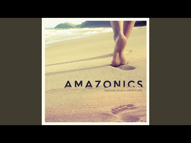 Amazonics - Something Just Like This