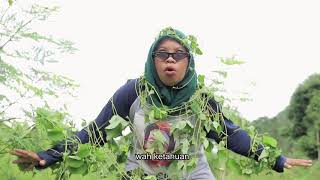 Elys Manis Di Kampung Tangguh  'WANUA EWAKO LAMPOKO'