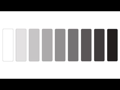 10 Step Grayscale Chart