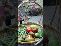 Where it belongs#food #foodsystem #gardening #homestead #canning