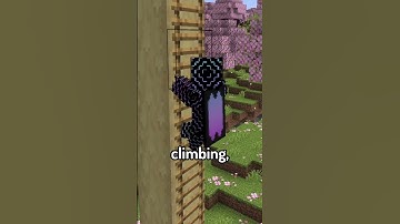 Mini Mod Reviews - Not Enough Animations