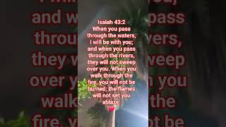 Do you know how to get divine protection? #quotes #faith #jesus #shorts #love #god #viral #music