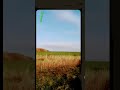 Простите что я не написала в чёрном экране но надеюсь вам понравилось!