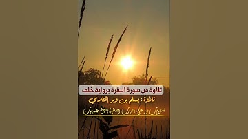 تلاوة نافعة من سورة البقرة| برواية خلف| القارئ يسلم