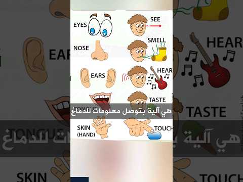 الإنسان عنده اكثر من 5 حواس هل تعلم