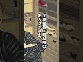 大奥の厳しすぎるルール３選 #日本史 #歴史解説 #shorts