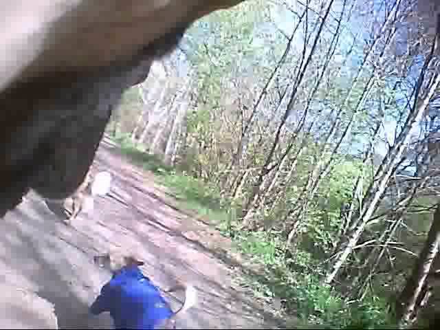 Dog cam 3rd May 2013 warmley forest ALFIE