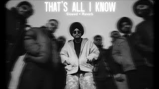 That's all i know ( Slowed + Reverb ) Jxggi