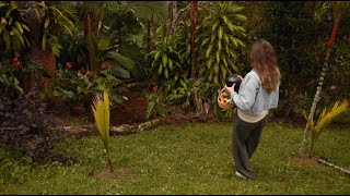 Ritual de Siembra de Placentas y Vida en el Campo