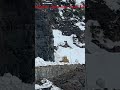 News Now - Snowplows are Clearing Snow in Glacier National Park for the Upcoming Season