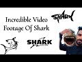 Incredible footage of shark in india valaithalam  shark sharkevolution tamil