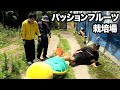 パッションフルーツは文句を言わない【天竺鼠川原・ランジャタイ国崎】【鹿児島県大崎町】【#2】