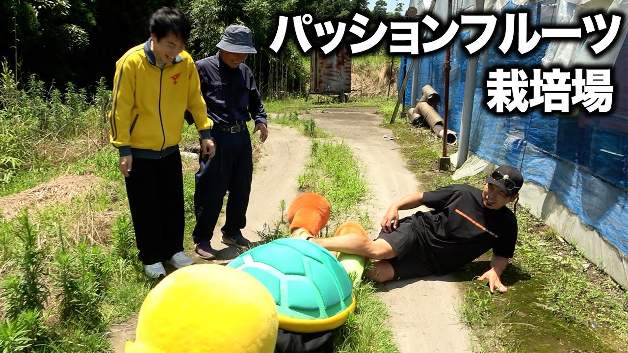 パッションフルーツは文句を言わない【天竺鼠川原・ランジャタイ国崎】【鹿児島県大崎町】【#2】