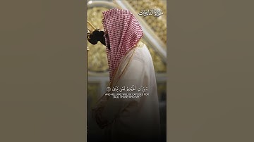 ﴿يَومَ يَتَذَكَّرُ الإِنسانُ ما سَعى﴾ | تبارك الوهّاب🤍! تلاوة بديعة لفضيلة الشيخ د.#أحمد_الحذيفي