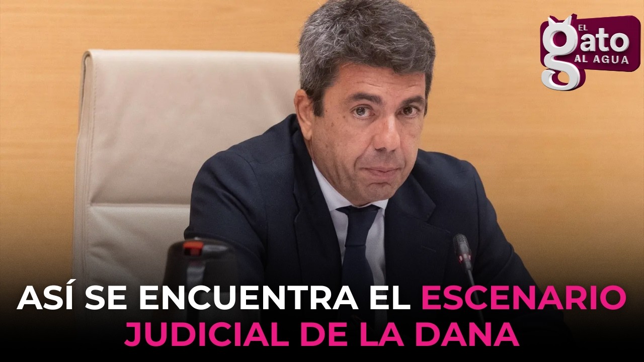 Así se encuentra el escenario judicial de la DANA