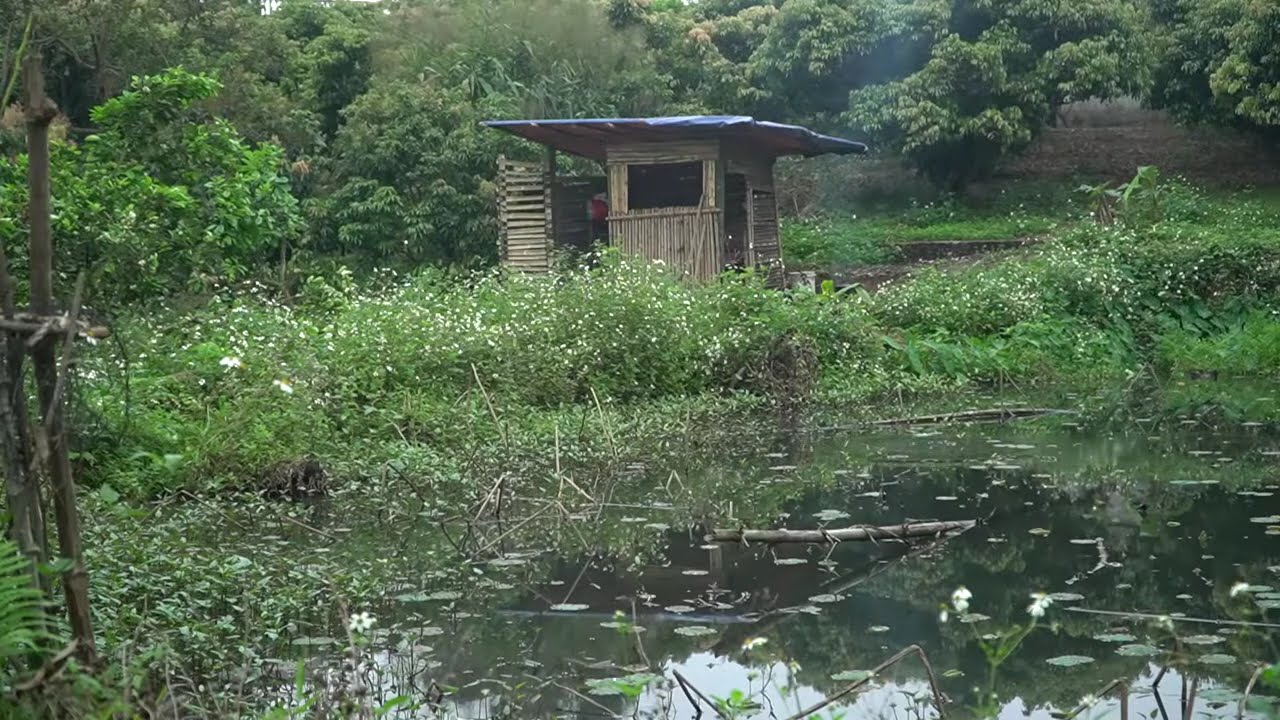 😭 Nomadic Documentary - Single Mother Raising a 17-Month-Old, Grass Gardening - Hard Life