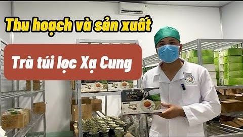Thu hoạch và sản xuất trà túi lọc xạ cung | Nông Dược Tĩnh Sáng Đường