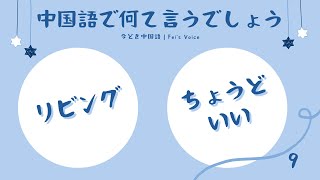 Day9|中国語ナレーターと音読・リスニング練習|1回目→単語→原文→2回目|フェイ先生の声日記|今どき中国語 Day9|中国語ナレーターと音読・リスニング練習|1回目→単語→原文→2回目|フェイ先生の声日記|今どき中国語