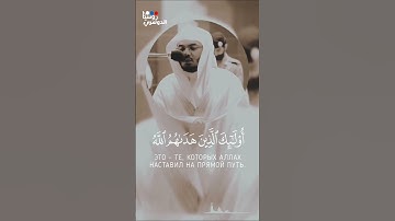 تلاوة رائعة للشيخ : ياسر الدوسري ، من سورة الزمر | حالات واتس اب | مقاطع دينية قصيرة