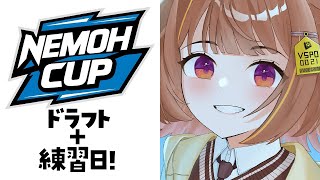 千燈ゆうひの配信のサムネイル画像