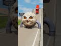 Long Capsule Bus &amp; Cargo Truck vs Low Pipe - BeamNG.Drive