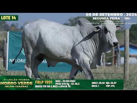 LOTE 14   FBLP 1991
