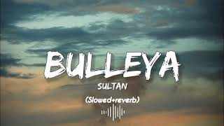 Bulleya lofi song |sultaan || slowed reverb song||anushka sharma songs||sad lofi songs||