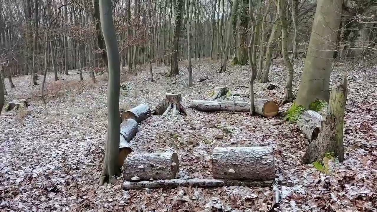 Film über die Region