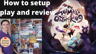 Animals Gathering #howtoplay  #review #boardgame  #tabletop  AmassGames    #games   #cute   #games screenshot 4