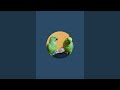 DimpalYadav is live ringneck parrot live stream