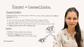 Divergent Evolution vs Convergent Evolution in हिन्दी | Bsc/Msc Zoology