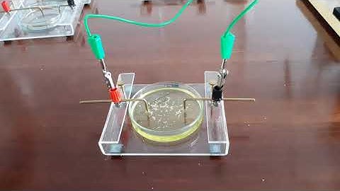 Electric Field Visualised with Semolina and caster oil
