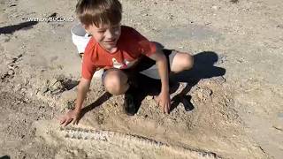12-Year-Old Boy Finds 80 Million Year-Old Fossil In Kansas