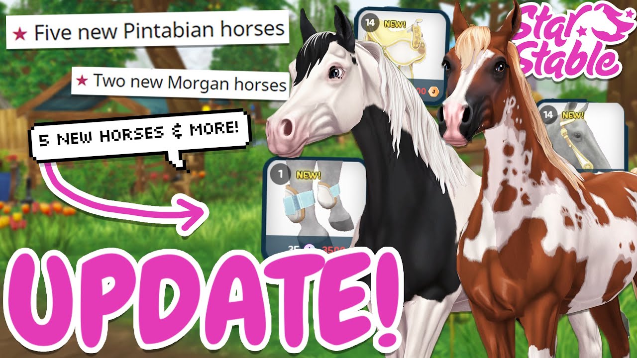 5+ NEW PINTABIAN HORSES IN STAR STABLE! (& MORGANS!) 🐴