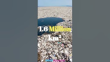 The Pacific Garbage Patch #shorts