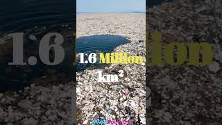 The Pacific Garbage Patch #shorts