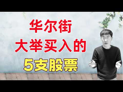 华尔街大举买入和加仓的5支股票！我的看法及买入建议