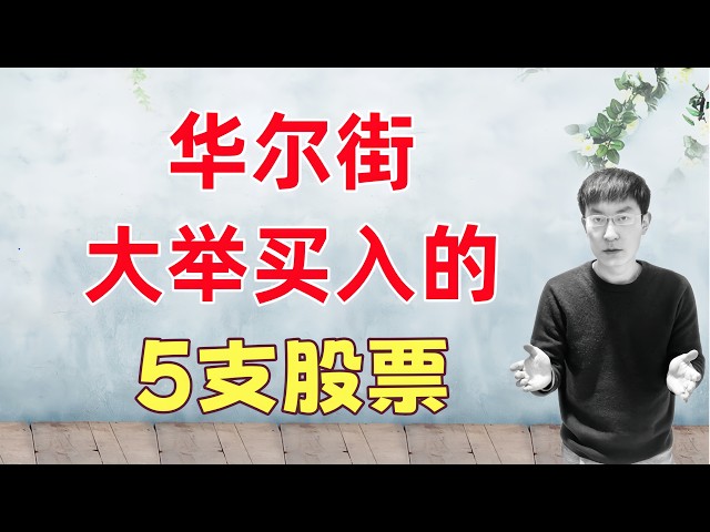 华尔街大举买入和加仓的5支股票！我的看法及买入建议