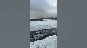 فذكّر إن نفعت الذكرى – تلاوة تلامس القلوب من سورة الأعلى