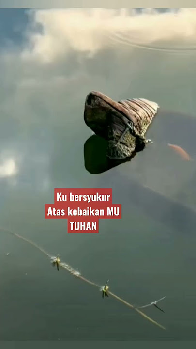 Kebaikan MU TUHAN