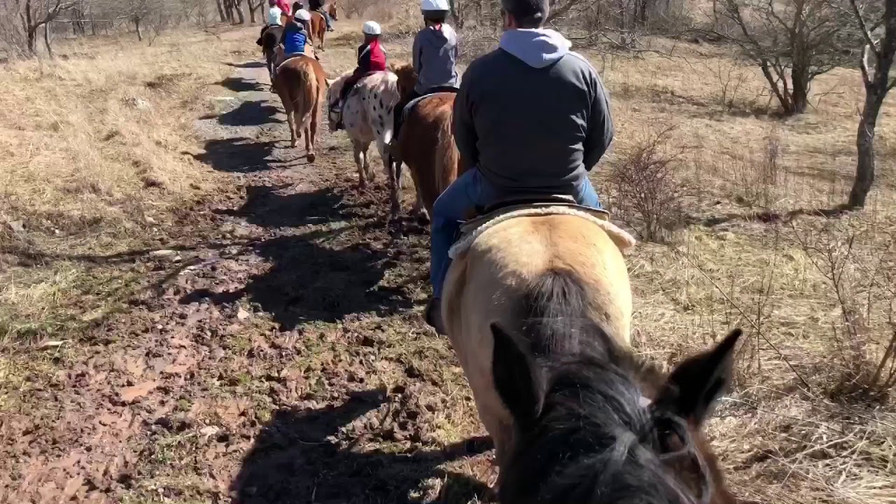 Mountain Trail Rides Horseback Riding Davis, WV YouTube