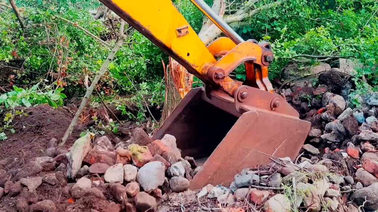 Massey Ferguson 50B - Removing tree, repacking hydraulic cylinder and grading